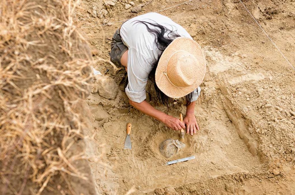 A picture of an archeologist at work